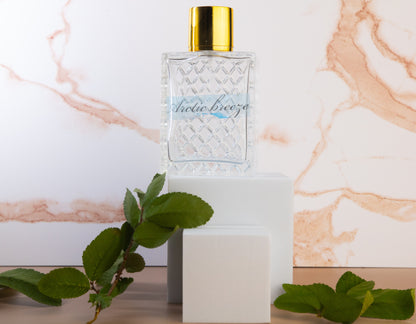 Arctic Breeze (100 ml) eau de parfum