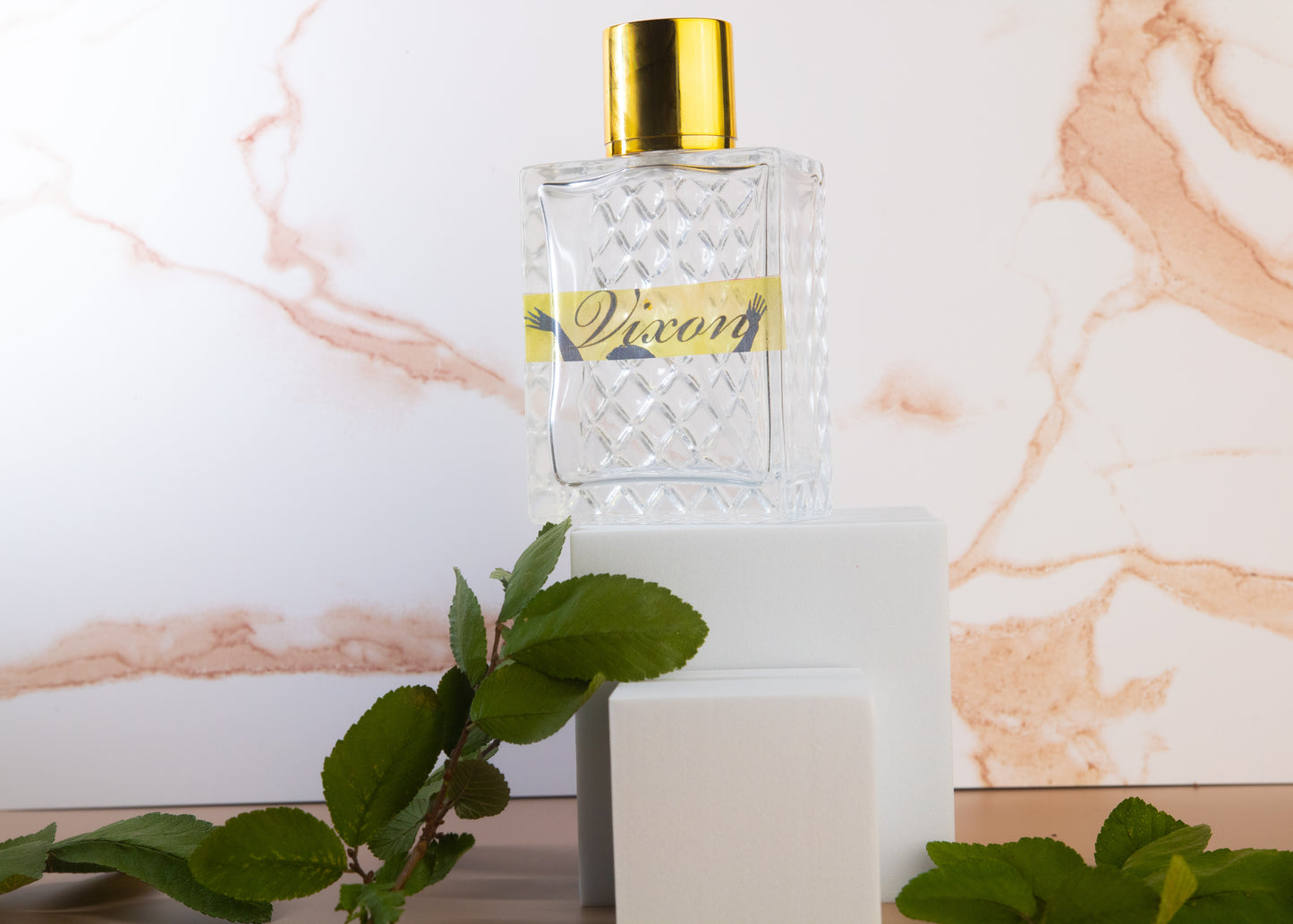 Vixon 100 ml